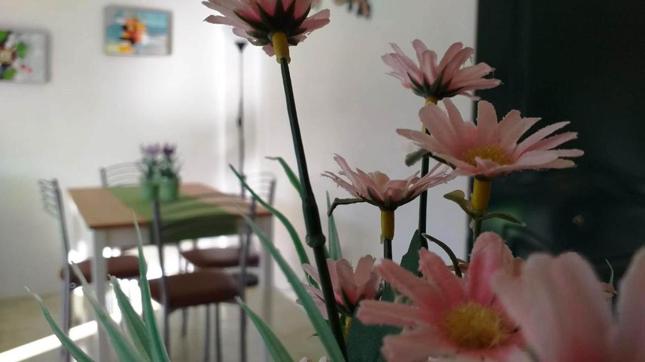 Antonella's House- Parque Don Jose - Free Wifi Apartment *