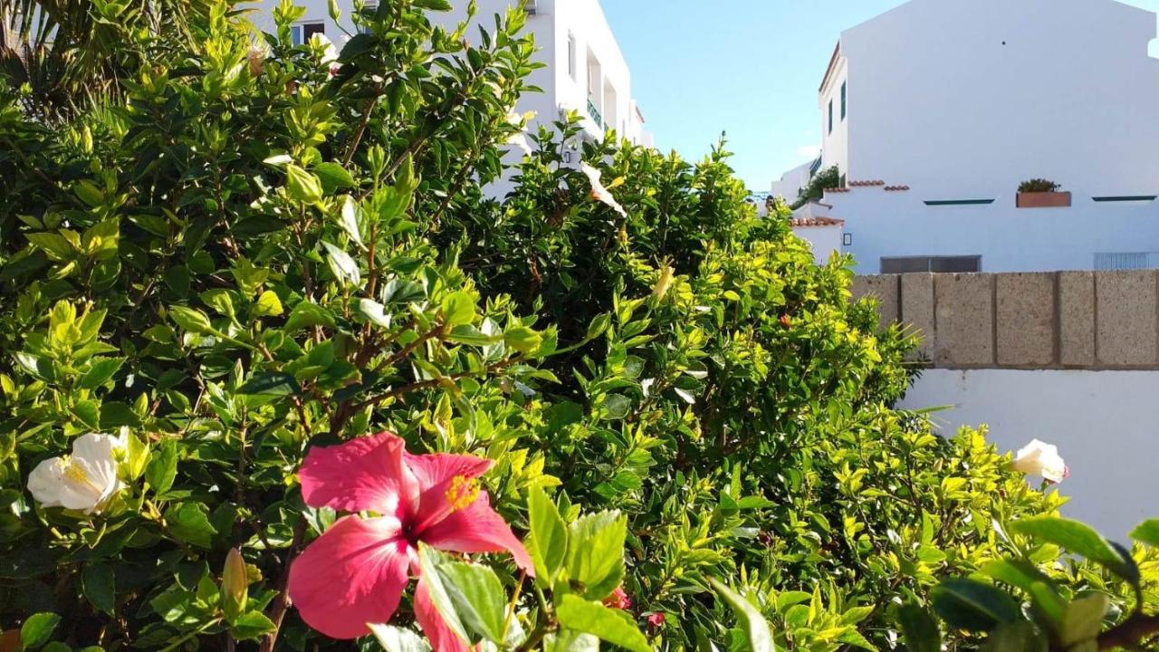 Antonella's House- Parque Don Jose - Free Wifi